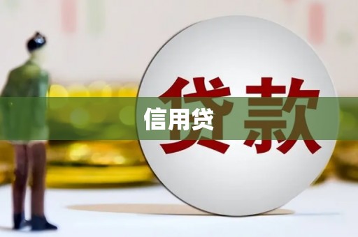 成县信用贷