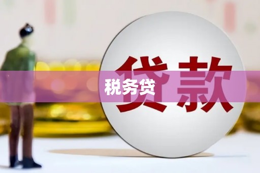成县税务贷