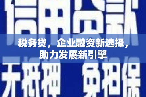 成县税务贷，企业融资新选择，助力发展新引擎