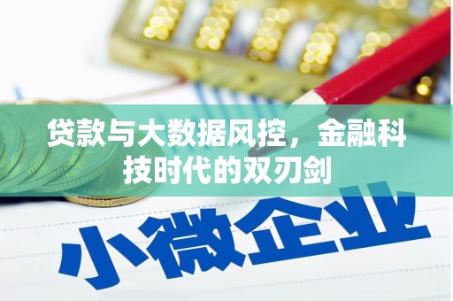 成县贷款与大数据风控，金融科技时代的双刃剑