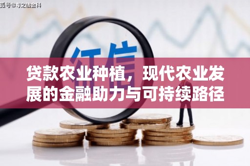 成县贷款农业种植，现代农业发展的金融助力与可持续路径