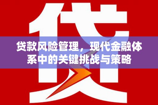 成县贷款风险管理，现代金融体系中的关键挑战与策略