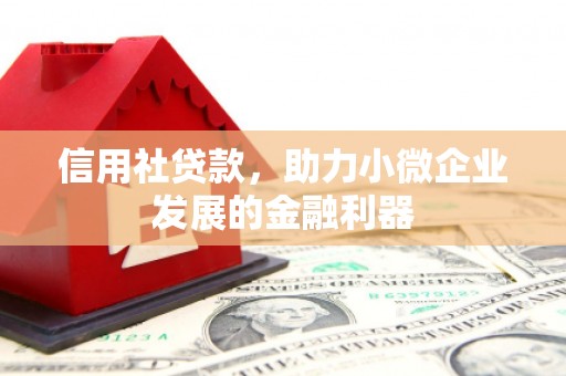 成县信用社贷款，助力小微企业发展的金融利器