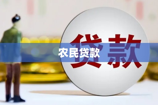 成县农民贷款