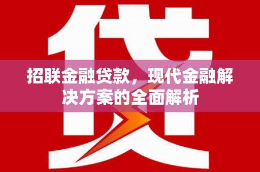 成县招联金融贷款，现代金融解决方案的全面解析