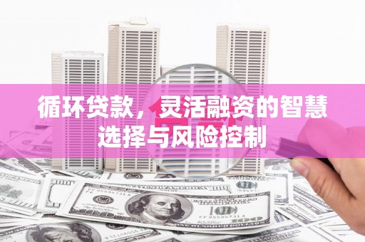 成县循环贷款，灵活融资的智慧选择与风险控制