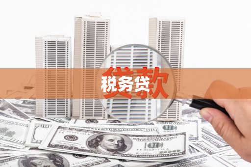 成县税务贷
