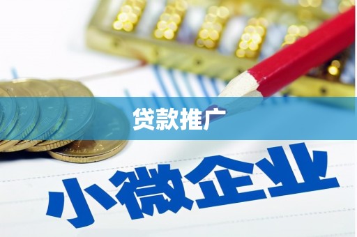 成县贷款推广