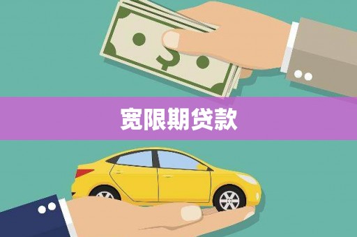 成县宽限期贷款