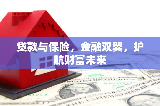 成县贷款与保险，金融双翼，护航财富未来