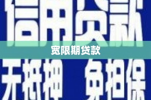 成县宽限期贷款