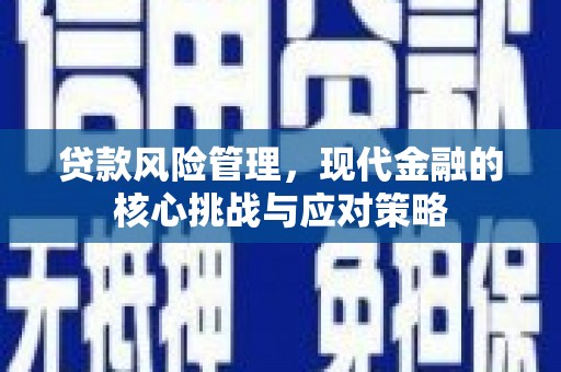 成县贷款风险管理，现代金融的核心挑战与应对策略