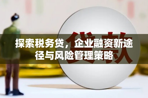 成县探索税务贷，企业融资新途径与风险管理策略