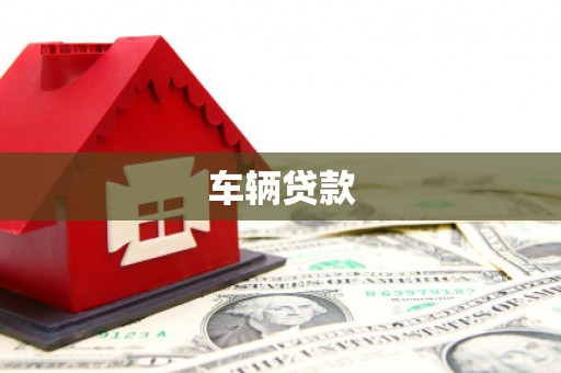 成县车辆贷款