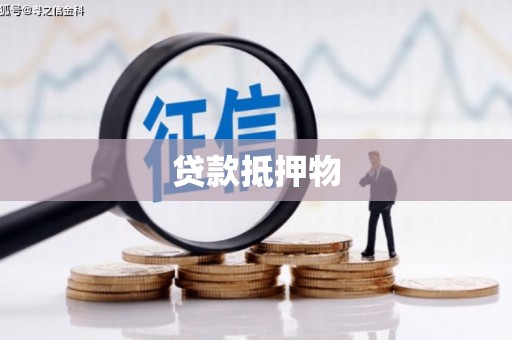 成县贷款抵押物