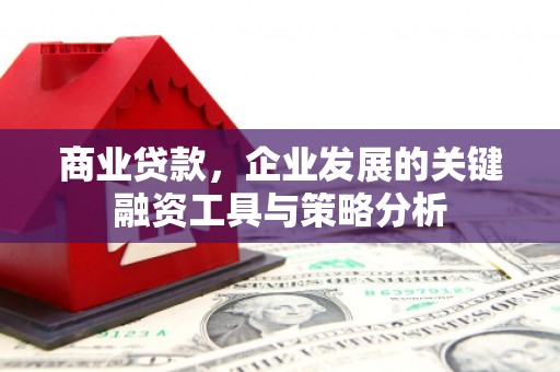 成县商业贷款，企业发展的关键融资工具与策略分析