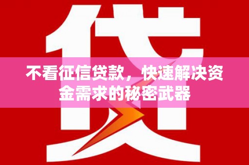 成县不看征信贷款，快速解决资金需求的秘密武器