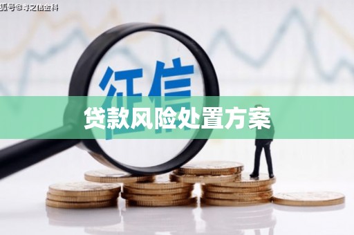 成县贷款风险处置方案