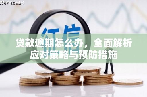 成县贷款逾期怎么办，全面解析应对策略与预防措施