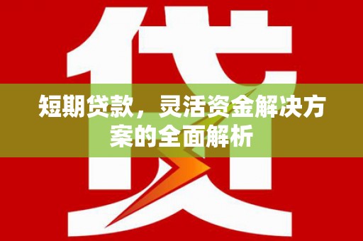 成县短期贷款，灵活资金解决方案的全面解析