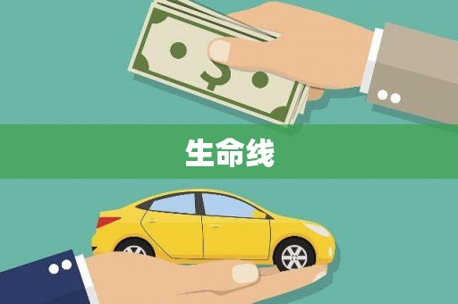 成县生命线