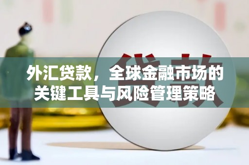 成县外汇贷款，全球金融市场的关键工具与风险管理策略