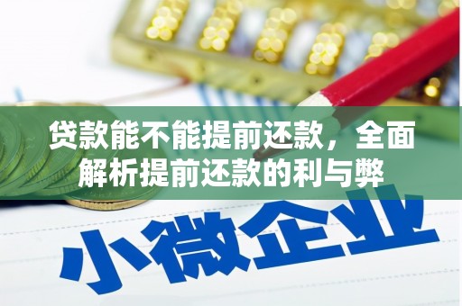 成县贷款能不能提前还款，全面解析提前还款的利与弊