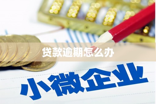 成县贷款逾期怎么办