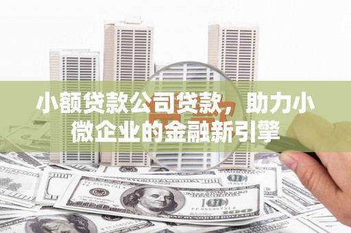 成县小额贷款公司贷款，助力小微企业的金融新引擎