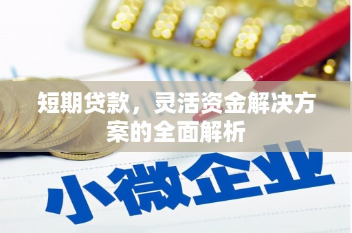 成县短期贷款，灵活资金解决方案的全面解析