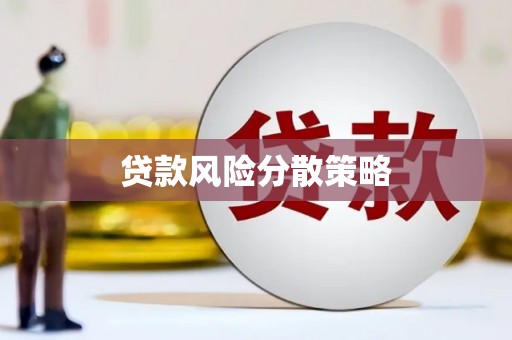 成县贷款风险分散策略