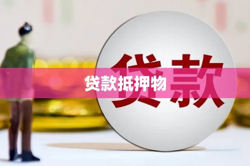 成县贷款抵押物