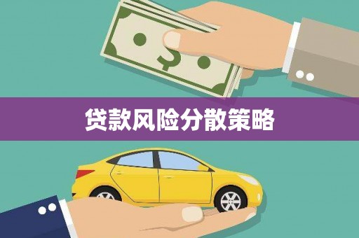 成县贷款风险分散策略