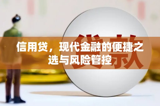 成县信用贷，现代金融的便捷之选与风险管控