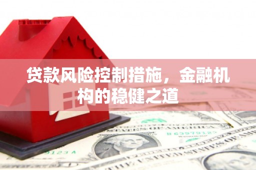 成县贷款风险控制措施，金融机构的稳健之道
