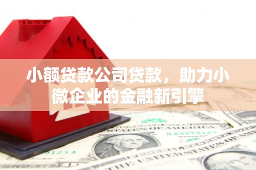 成县小额贷款公司贷款，助力小微企业的金融新引擎