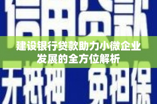 成县建设银行贷款助力小微企业发展的全方位解析