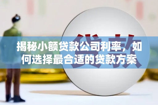 成县揭秘小额贷款公司利率，如何选择最合适的贷款方案