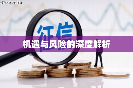 成县机遇与风险的深度解析