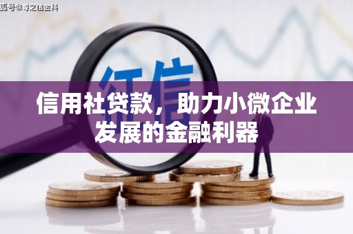 成县信用社贷款，助力小微企业发展的金融利器