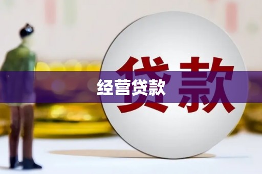 成县经营贷款