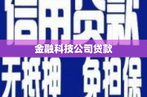 成县金融科技公司贷款