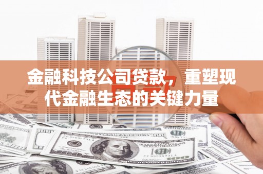 成县金融科技公司贷款，重塑现代金融生态的关键力量