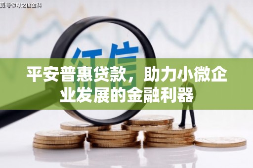 成县平安普惠贷款，助力小微企业发展的金融利器