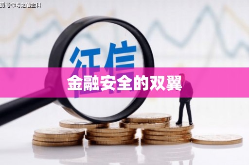 成县金融安全的双翼