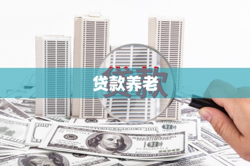 成县贷款养老