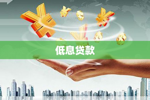 成县低息贷款