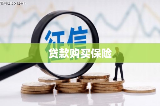 成县贷款购买保险