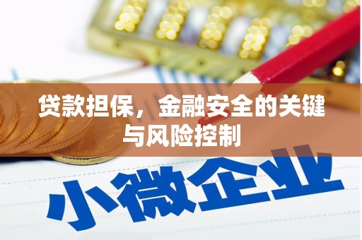 成县贷款担保，金融安全的关键与风险控制
