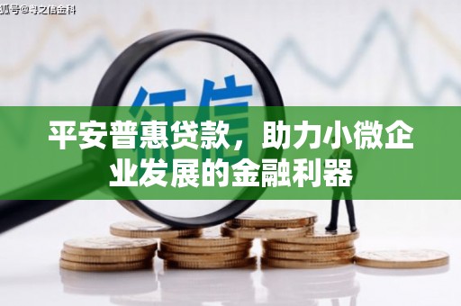 成县平安普惠贷款，助力小微企业发展的金融利器